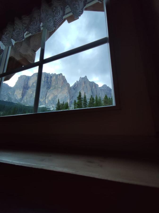 Pian Schiavaneis B&B Apartament 卡纳泽伊 外观 照片