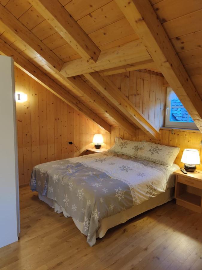Pian Schiavaneis B&B Apartament 卡纳泽伊 外观 照片