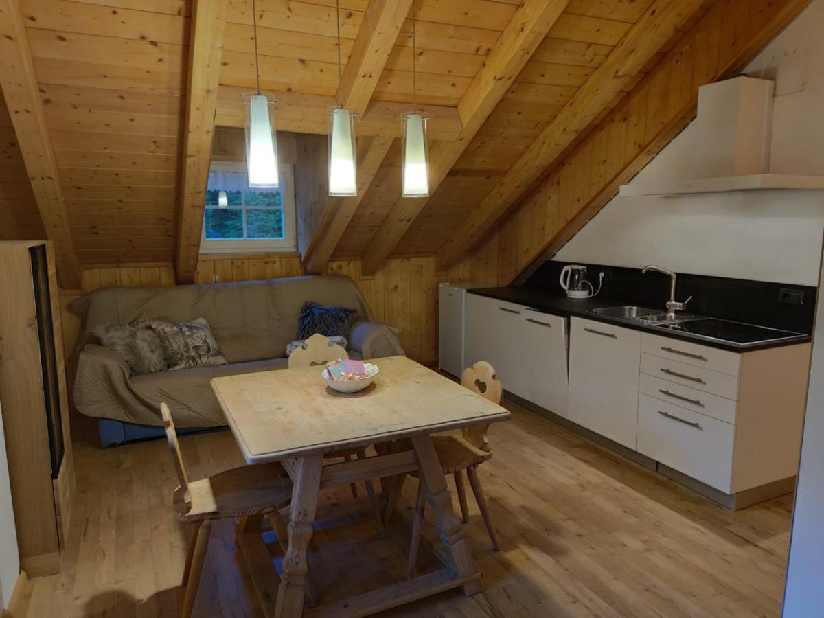 Pian Schiavaneis B&B Apartament 卡纳泽伊 外观 照片